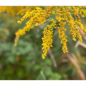 Meet your Posher, Claire